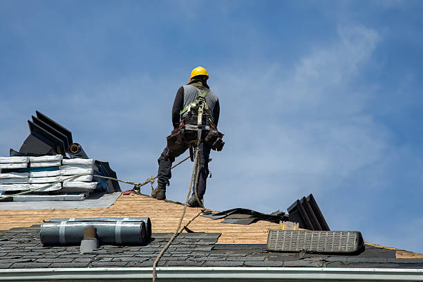 Professional Roof Replacement technician working in Danevang, TX
